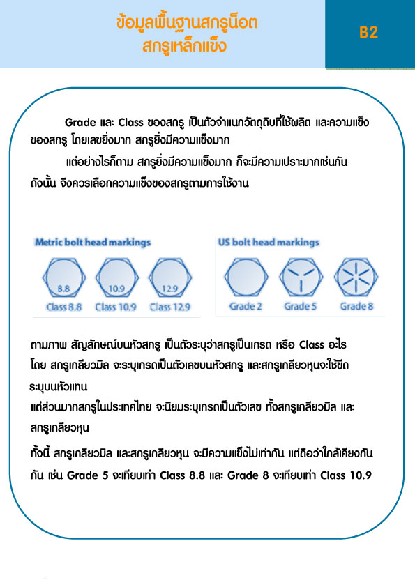 ข้อมูลพื้นฐานสกรูน็อต สกรูเหล็กแข็ง