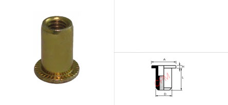 รีเวทนัต หัวเตเปอร์ (PFP), ADL