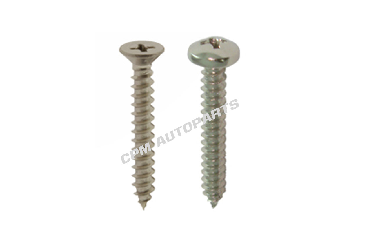 Cross Flat/Pan Head Tapping Screws 304