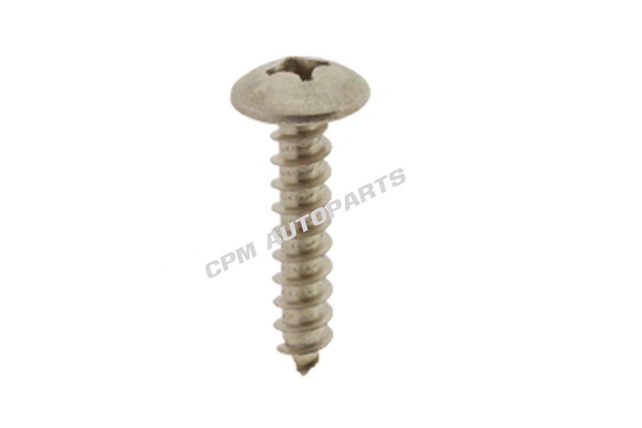 Cross Truss Head Tapping Screws 304