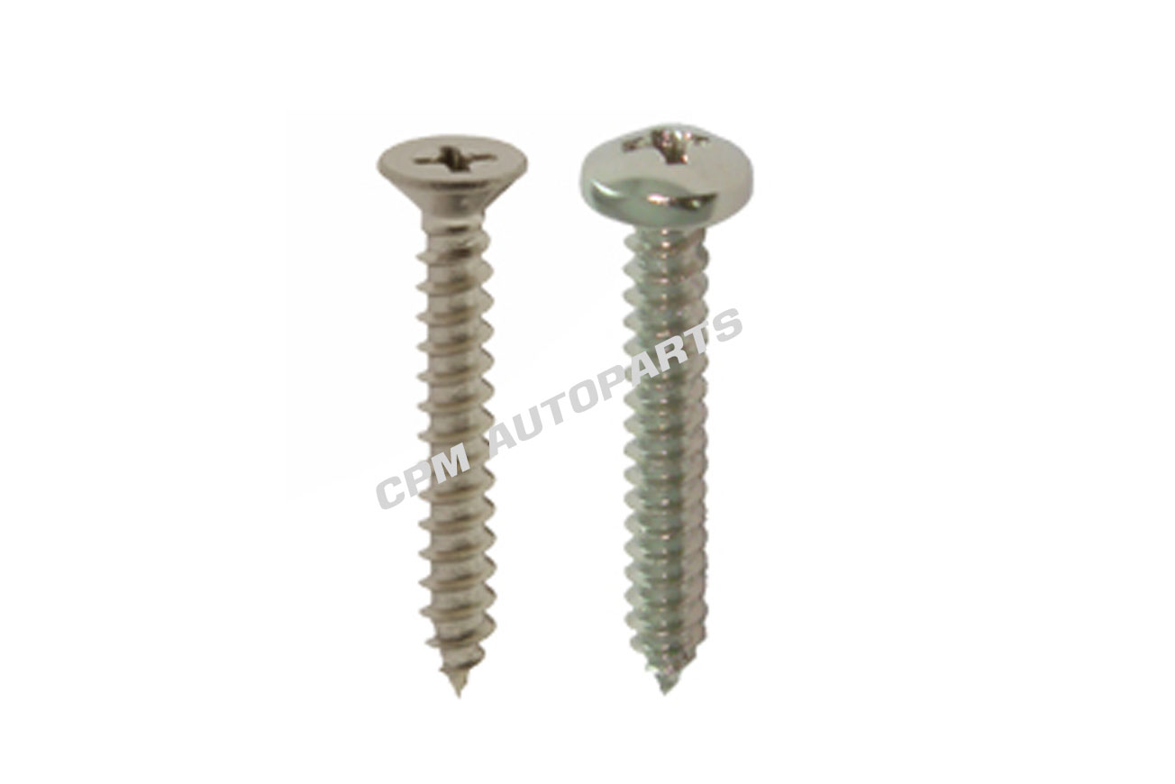 Cross Flat/Pan Head Tapping Screws 304 inch